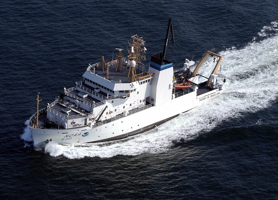 National Image Library for Fisheries Sampling